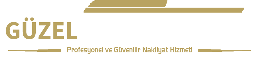 Güzel İzmir Ekspres Kargo San. Tic. Ltd. Şti.
